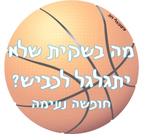 P15918_IMG05_מתנת-כדורסל